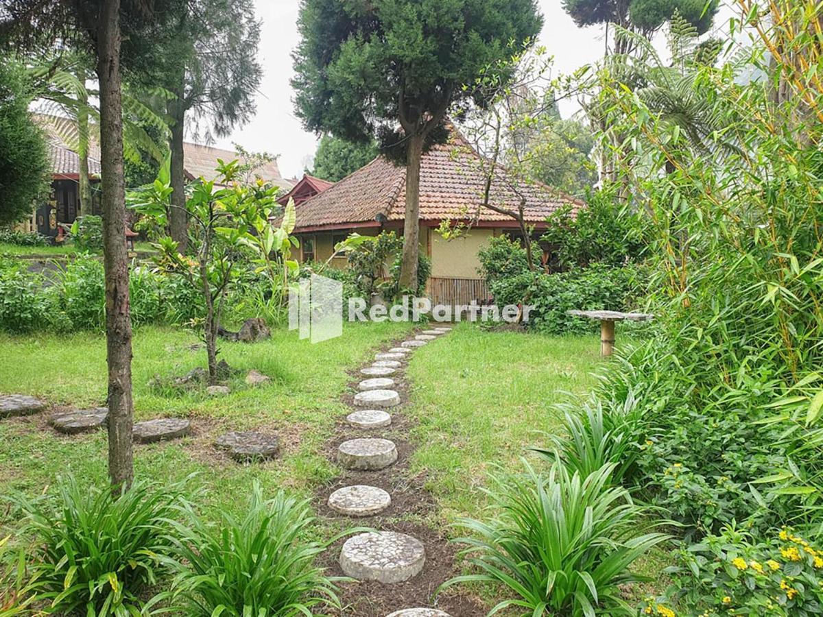 Hotel Yoschi'S Bromo At Desa Wisata Bromo Ngadisari Екстериор снимка